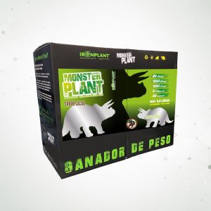 1 Monster