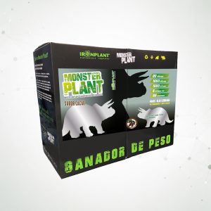 1 Monster