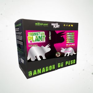 1 Monster