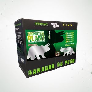 1 Monster