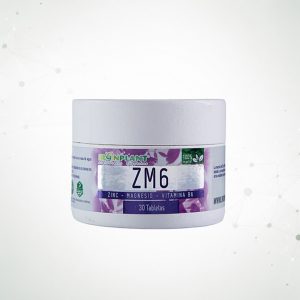 ZM6 – Zinc, Magnesio y Vitamina B6
